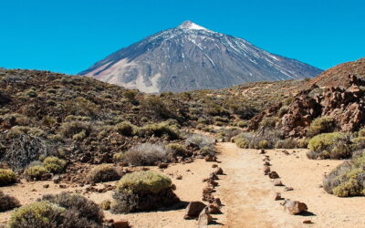 Medio día en el Teide