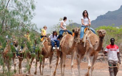 Camel Park