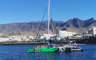 Catamarán Freebird 3 horas