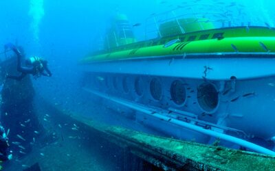 Submarine Safari