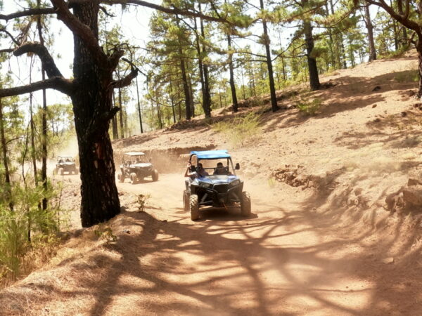 Safari al Teide en buggy 3hrs - Imagen 4