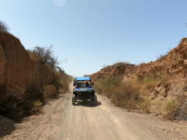 Safari al Teide en buggy 3hrs - Imagen 6