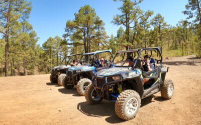 Safari al Teide en buggy 3hrs