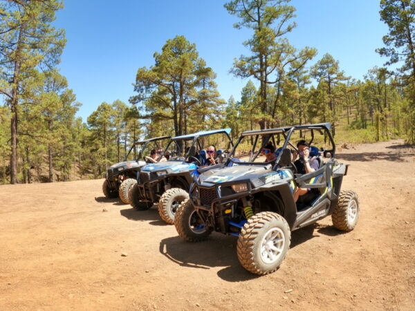 Safari al Teide en buggy 3hrs